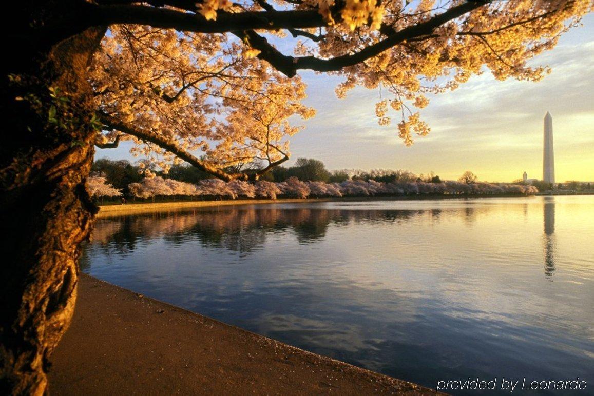 Fairfield By Marriott Inn & Suites Herndon Reston Servizi foto